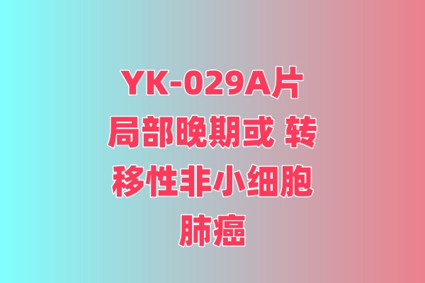 YK-029A片
