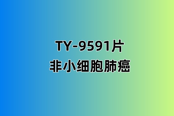 TY-9591片