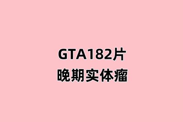 GTA182片