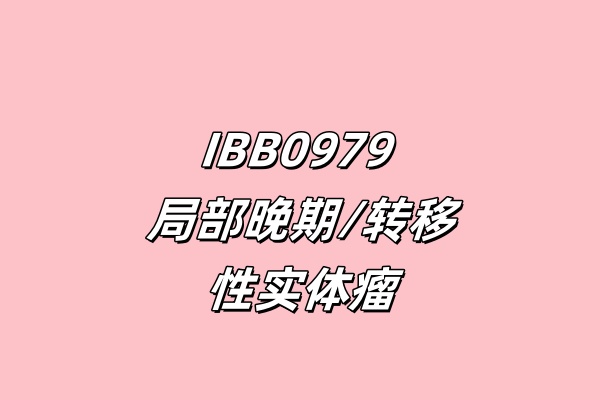 IBB0979