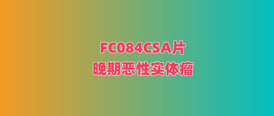 FC084CSA片