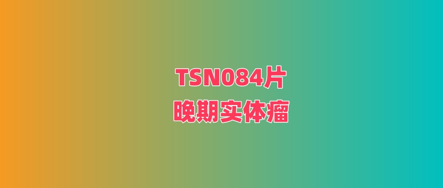TSN084片