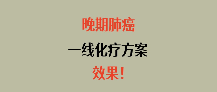 一文详解：晚期肺癌一线化疗方案（培美曲塞+铂类）的效果到底如何？