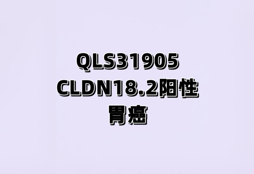 注射用QLS31905 联合QL2107 注射液及XELOX 方案一线治疗胃或胃食管结合部腺癌的临床研究