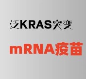 一项在KRAS突变的晚期实体瘤患者中评估KRAS新抗原的mRNA纳圣巧共颗(ABO2102)安全性、耐受性、免疫原性特征及初步有效性的IIT研究