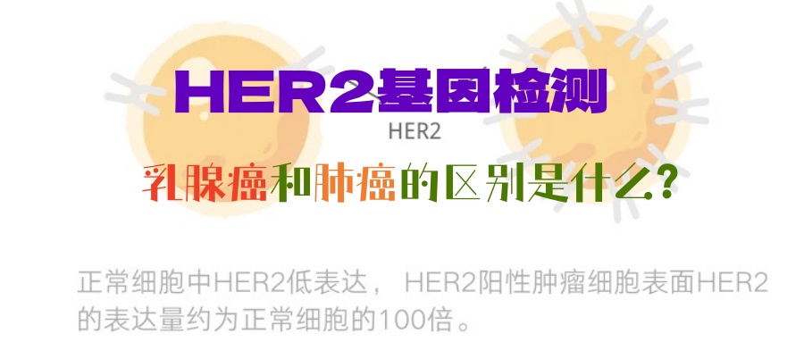 同为HER2检测，为什么乳腺癌用FISH方法而肺癌用NGS方法？如何让基因检测更好为治疗服务？如何选择更好检测方法？