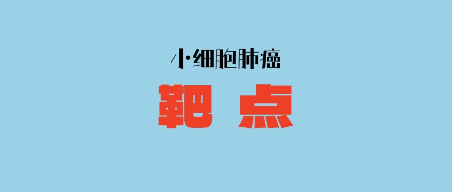 【小细胞肺癌】也有靶点？是真的！三大热门靶点：B7H3、DLL3、TROP2，你测了几个？