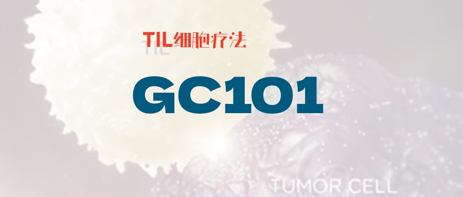 【肺癌】TIL细胞疗法GC101：一次治疗，长久获益，有患者肿瘤完全消失！肿瘤9cm患者实现病灶缩小近一半！无需清淋更安全！