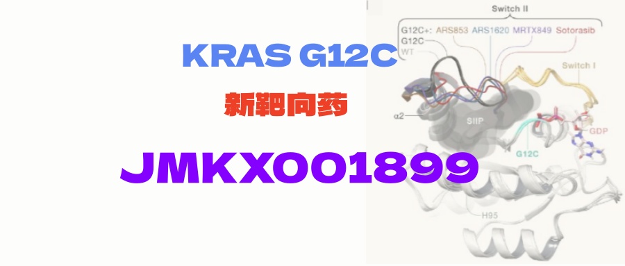 【KRAS G12C突变肺癌】新口服靶向药JMKX001899，高入脑活性，获突破性疗法认证！临床已进入三期！