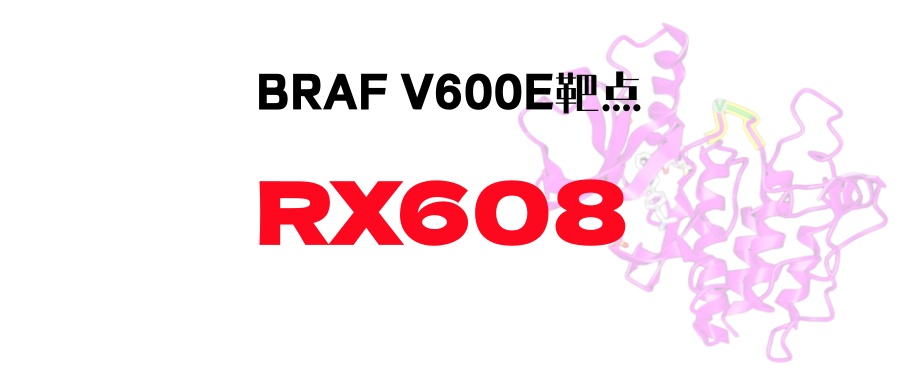 【BRAF V600E突变】新一代口服靶向药RX608：更安全，更高效！胰腺癌、甲状腺癌、肺癌、黑色素瘤、肠癌、肾癌、胆管癌可入