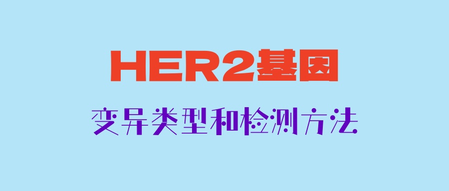 乳腺癌、肺癌HER2基因变异的类型和对应的检测方法选择
