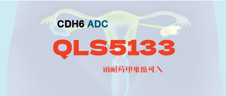 【卵巢癌】对标DS6000a，齐鲁制药 CDH6 ADC ，更安全，疗效更佳！铂耐药卵巢癌患者可入！