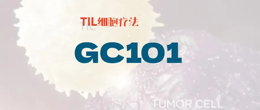 【黑色素瘤】细胞疗法2期临床来了！GC101，最接近上市的国内首个TIL疗法！有患者长期缓解！入组能省370万元！