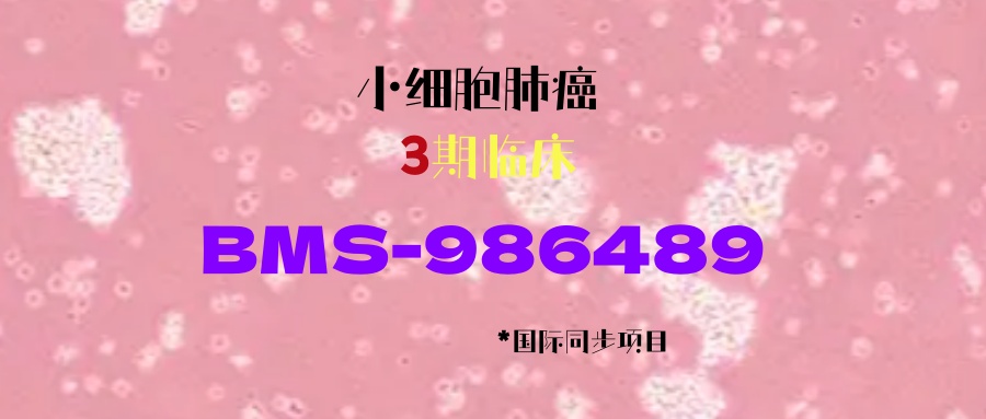 【小细胞肺癌】广泛期初治项目，3期临床：施贵宝BMS-986489，疗效显著，国际同步，对照药是阿替利珠单抗！