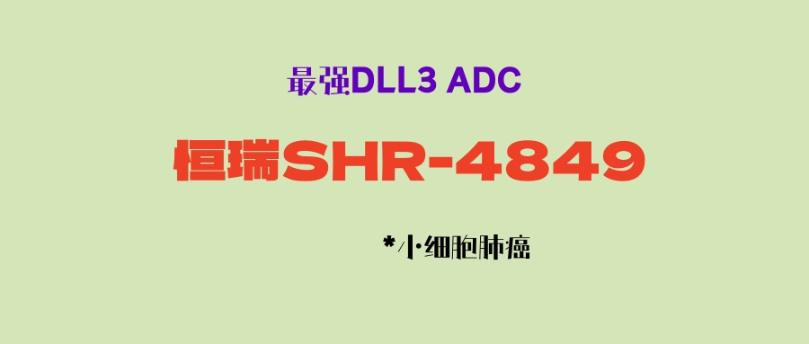 小细胞肺癌DLL3靶点ADC新药SHR-4849：I期临床数据惊艳，脑转控制率100%！或成控制脑转最强DLL3 ADC！