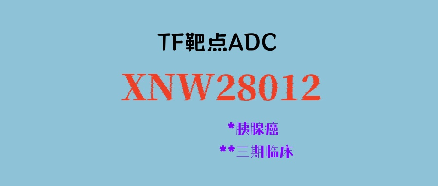 胰腺癌三期临床来了！TF靶点ADC新药XNW28012