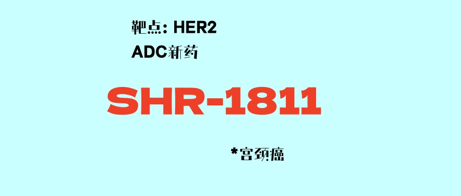恒瑞HER2靶点ADC新药SHR-A1811：疾病控制率超9成！宫颈癌患者免费用！二期临床，无对照组！