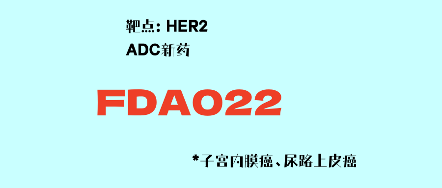 疾病控制率100%！HER2靶点ADC新药FDA022：子宫内膜癌、尿路上皮癌患者的新希望！