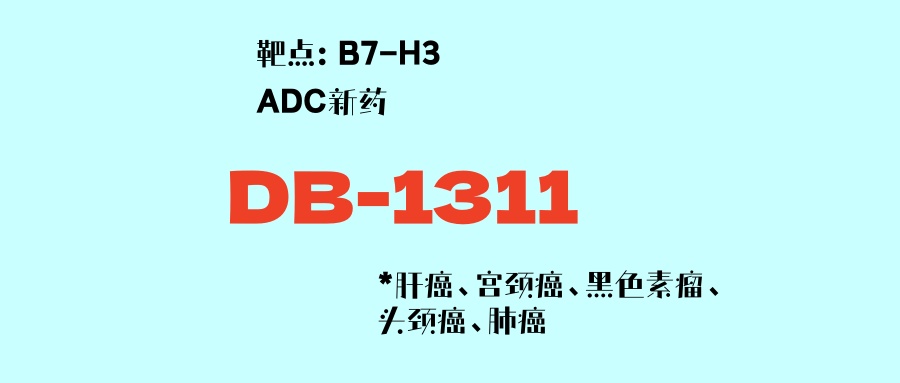B7H3靶点ADC新药DB1311：肝癌、宫颈癌、黑色素瘤、头颈癌、肺癌双药联合2期临床，部分队列DCR达100%！