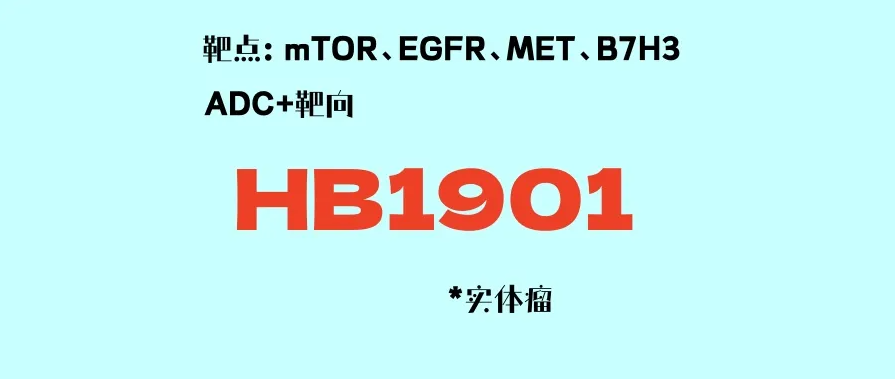 靶向+ADC，HB1901联合ADC（SYS6010/SYS6043）协同增效，为后线治疗患者带来缓解机遇