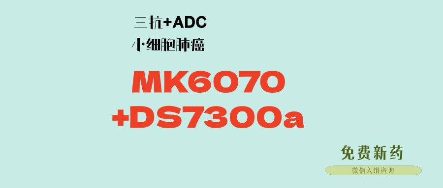 MK-6070联合DS-7300a，小细胞肺癌最强组合：疗效超塔拉妥单抗！缓解率超80%！