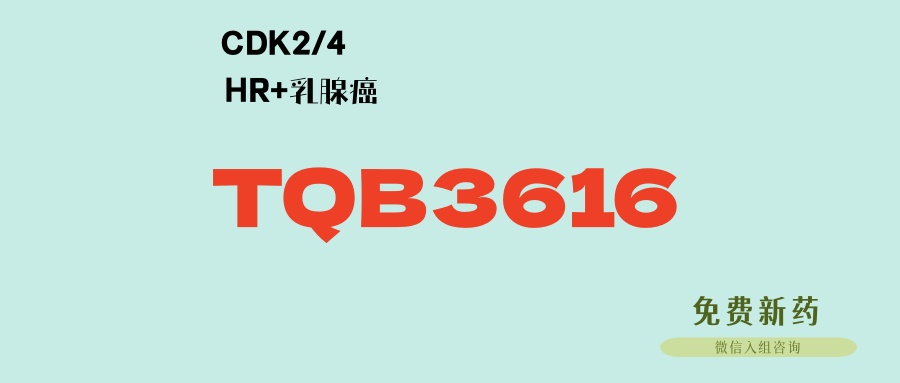 国内已上市！全球首款CDK2/4靶向药TQB3616，有效克服CDK4/6靶向药耐药，HR+阳性晚期乳腺癌患者新希望！