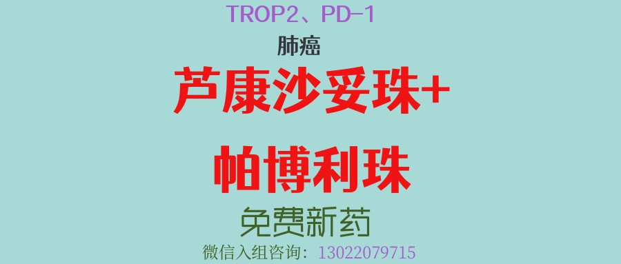 肺癌一线治疗迎来“王炸”组合？芦康沙妥珠单抗联手K药，最新数据惊艳，客观缓解率显著提升！