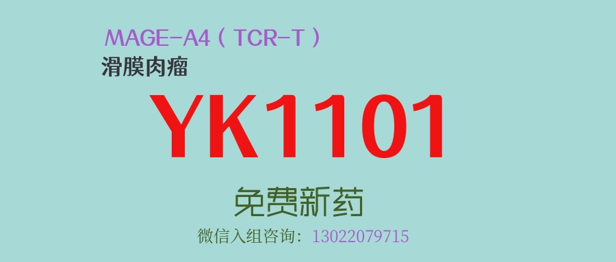近一半滑膜肉瘤肿瘤缩小！首个靶向MAGE-A4新型TCR-T细胞疗法新药YK1101已开启免费临床