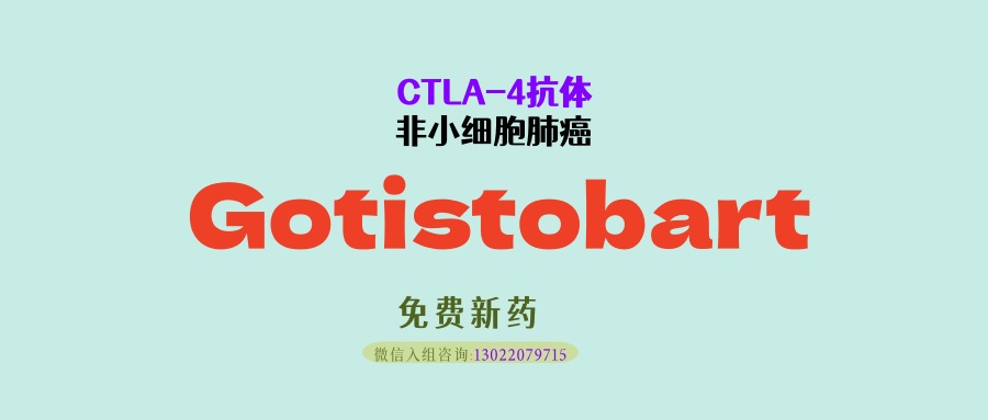 死亡风险直降54%！靶向CTLA-4抗体新药Gotistobart对比多西他赛：效果太惊艳！PD-(L)1耐药肺鳞癌迎来新希望
