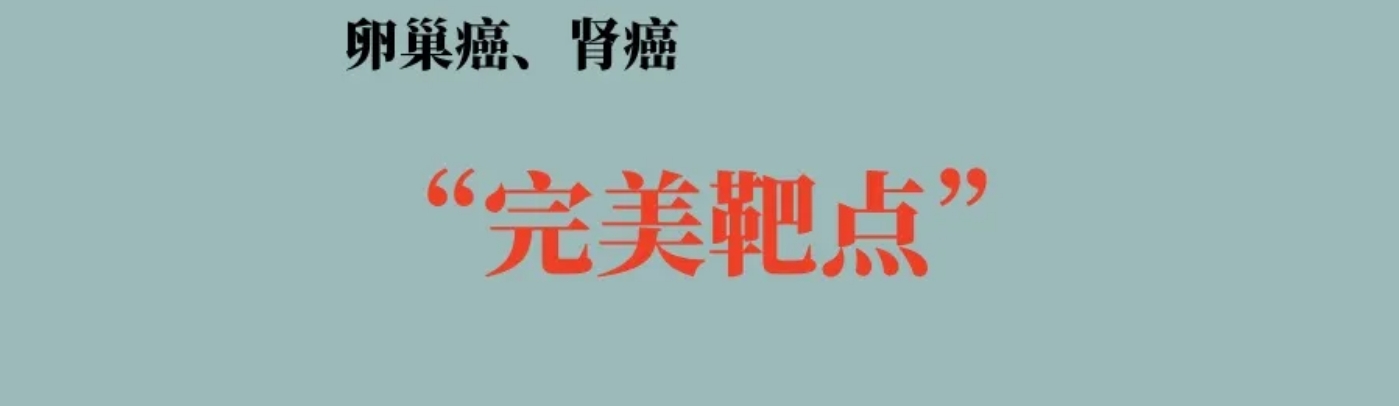 卵巢癌、肾癌 “ 完美肿瘤靶点 ”：CDH6，高效低毒，有效克服耐药，开启卵巢癌、肾癌ADC治疗新时代  ！